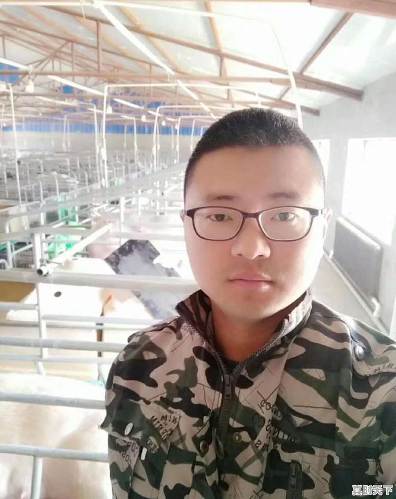 不给仔猪剪牙行不行 - 真时天下