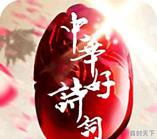 向佐参加过快乐男声吗 - 真时天下