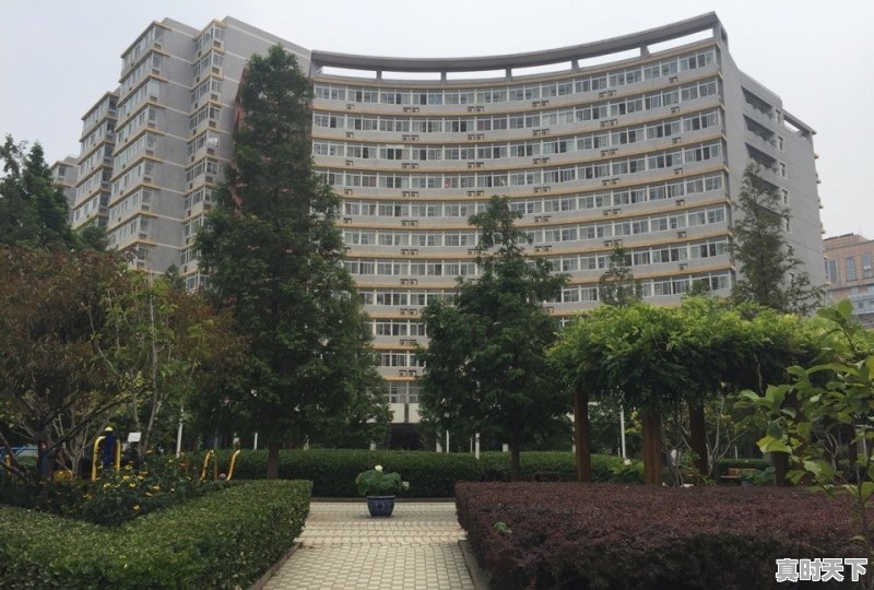 金融考研最高分是多少 - 真时天下