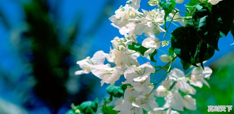 金融行业五行属于什么五行属性 - 真时天下