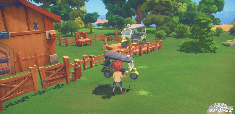 发行的国产单机游戏有哪些 - 真时天下