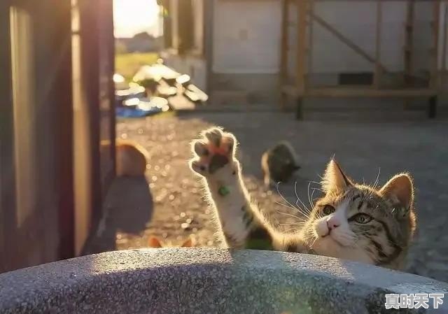 金融哪个行业好干一点 - 真时天下