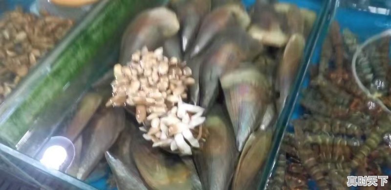 北京五环边露天海鲜大集地址 - 真时天下