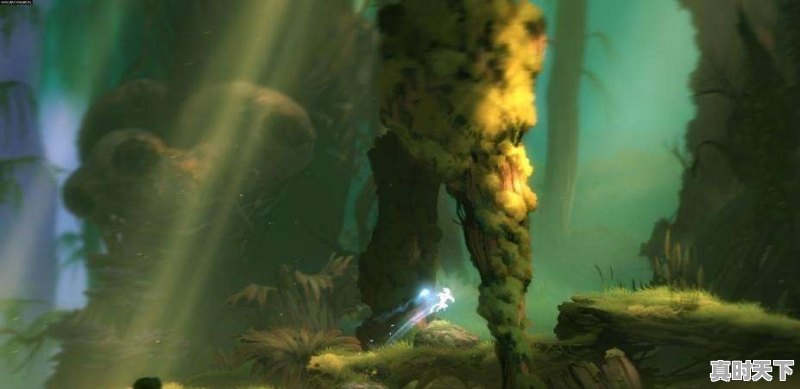 有没有好玩的2D单机游戏推荐 - 真时天下