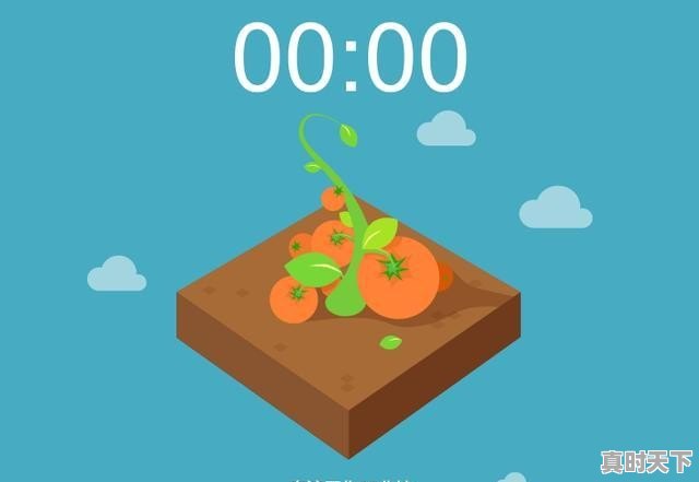 在线电台点播软件 - 真时天下