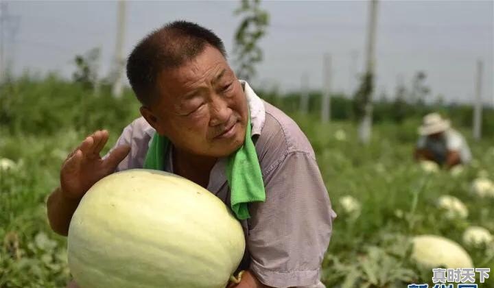 赤峰市占地面积有多少 - 真时天下