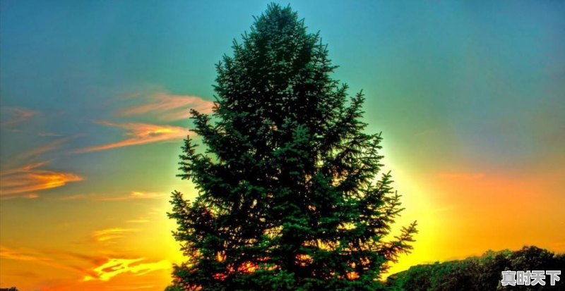 怎样有效治理雾霾 - 真时天下