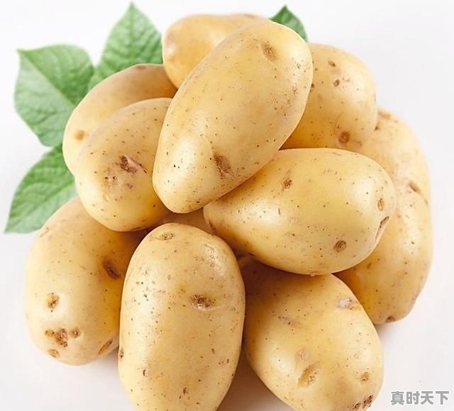 什么地方生产的土豆最好吃 - 真时天下