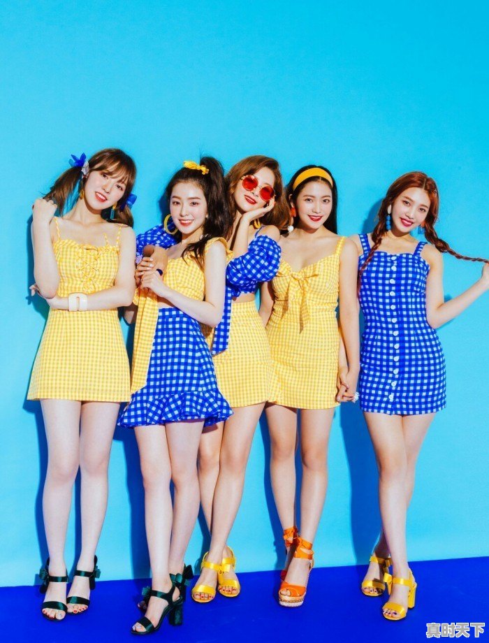 yeri综艺 - 真时天下