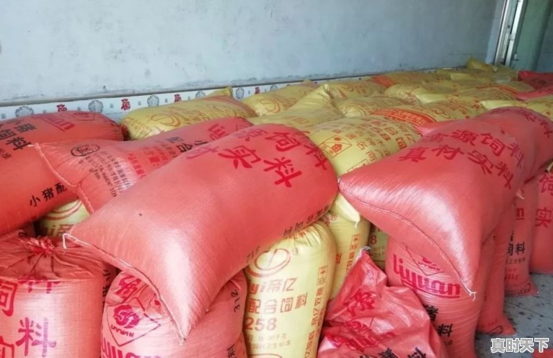 茶陵最近七天天气 - 真时天下