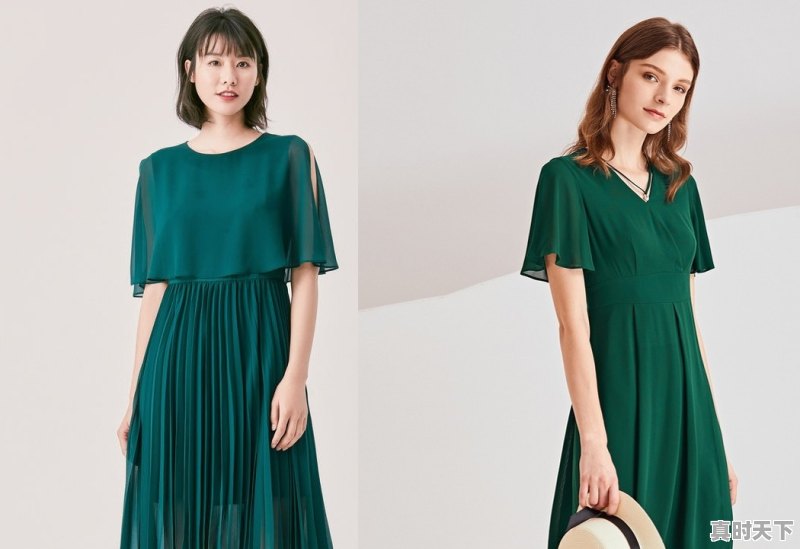 820洗护箱子是哪家的 - 真时天下