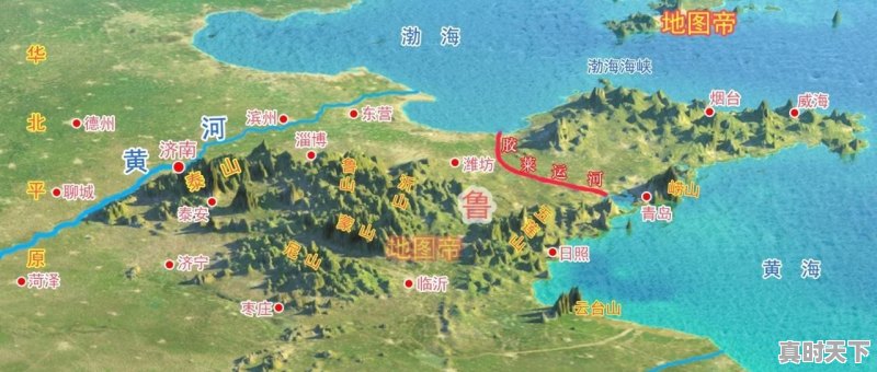 潍坊菜篮子今日价格行情走势 - 真时天下