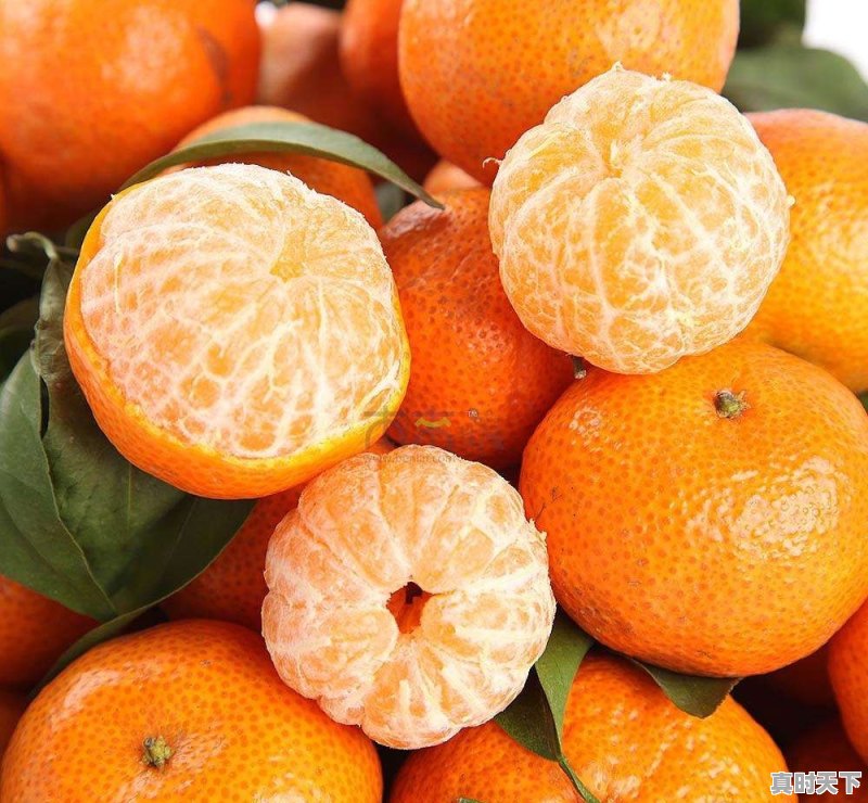 广西加油站柴油价今日价格表 - 真时天下