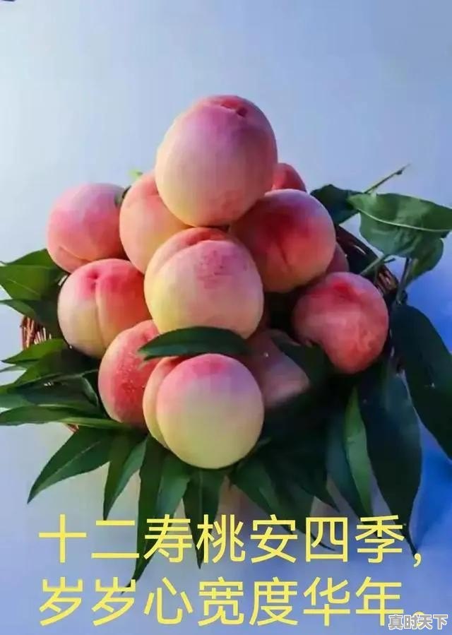 怎样把“穷”连根拔除 - 真时天下