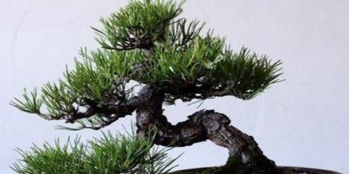 恒展塑胶厂加料员现在还在招聘吗 - 真时天下