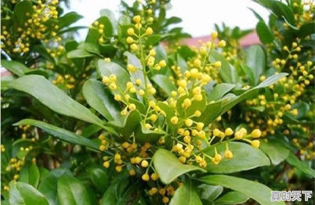 米兰一月份天气怎么样 - 真时天下