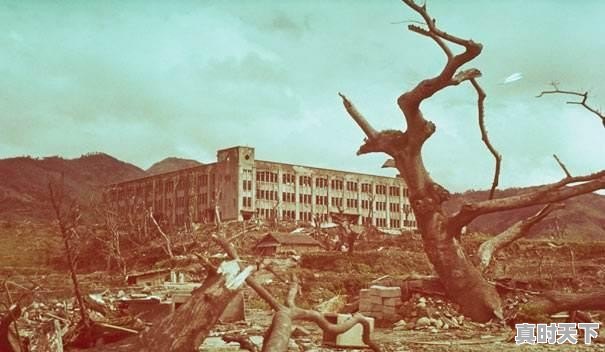 天气预报 - 真时天下