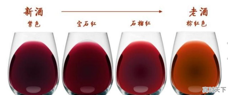 梅洛和赤霞珠的区别是什么啊 - 真时天下
