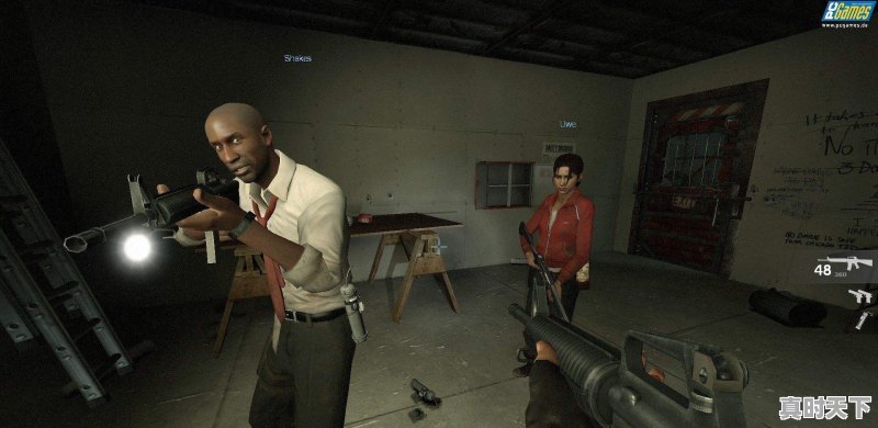 网吧单机打僵尸游戏 - 真时天下