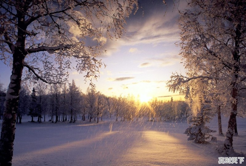 智慧是每个人都会听到的词,怎样做事才叫智慧 - 真时天下
