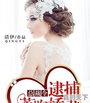 男主很低调的动漫 - 真时天下