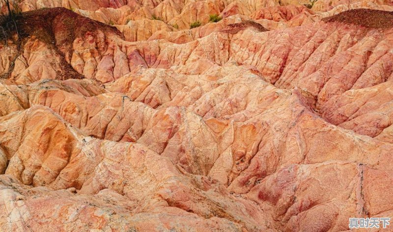 国际锂矿24小时实时走势怎么查看 - 真时天下