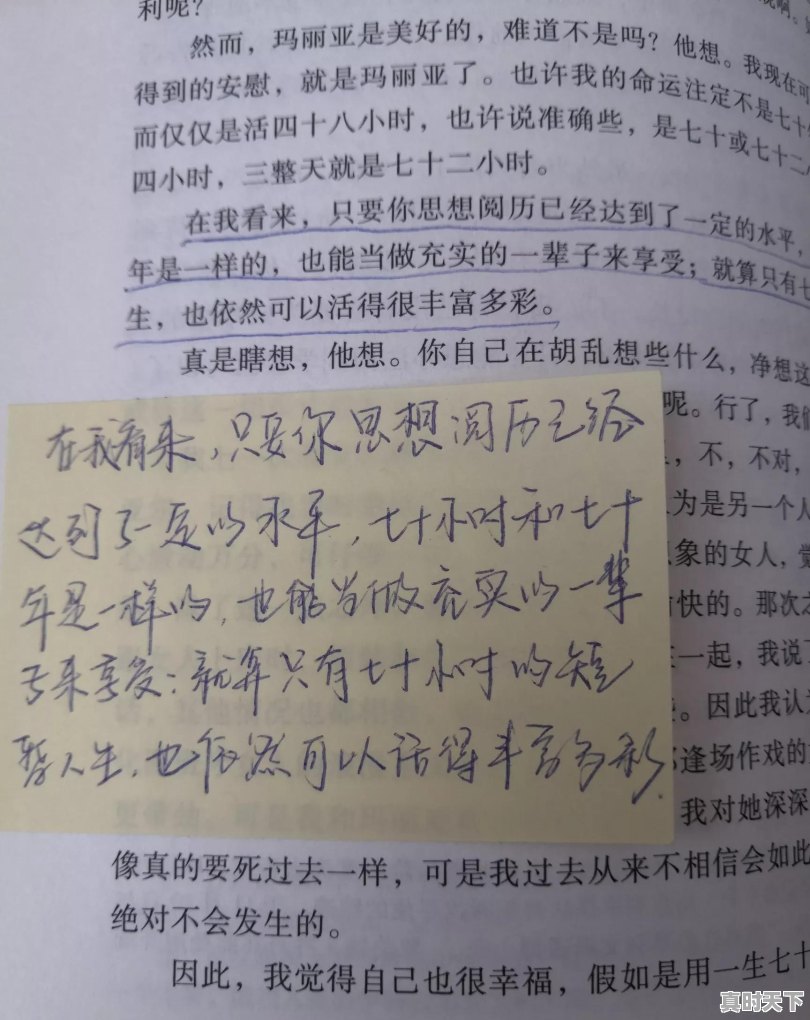 寂寞暴走mv中的女主角是谁 - 真时天下