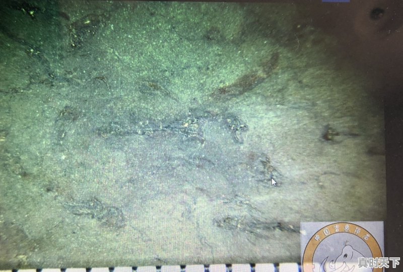 在未来的太空探索中,人体会进化成什么样来适应宇宙环境(不用考虑进化的快慢) - 真时天下