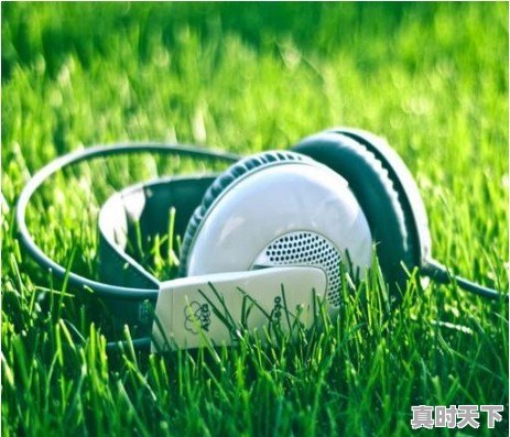 女神留声机 综艺在线观看 - 真时天下